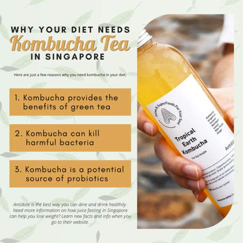 Why Your Diet Needs Kombucha Tea in Singapore