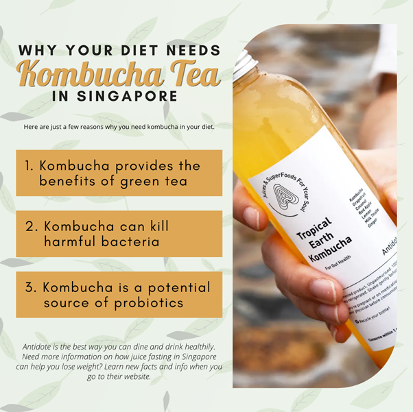 Why Your Diet Needs Kombucha Tea in Singapore