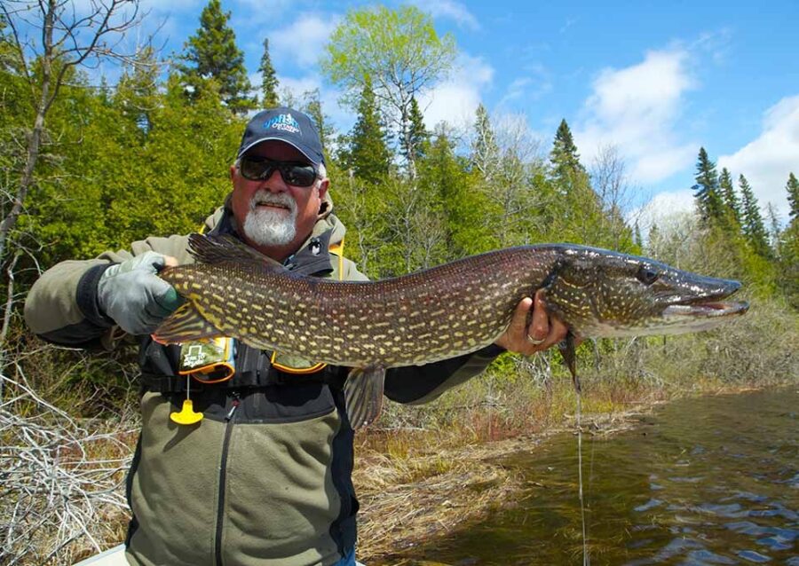 Revealing the Allure of Canada’s Remote Fly-In Fishing Lodges: An Escape into the Wild