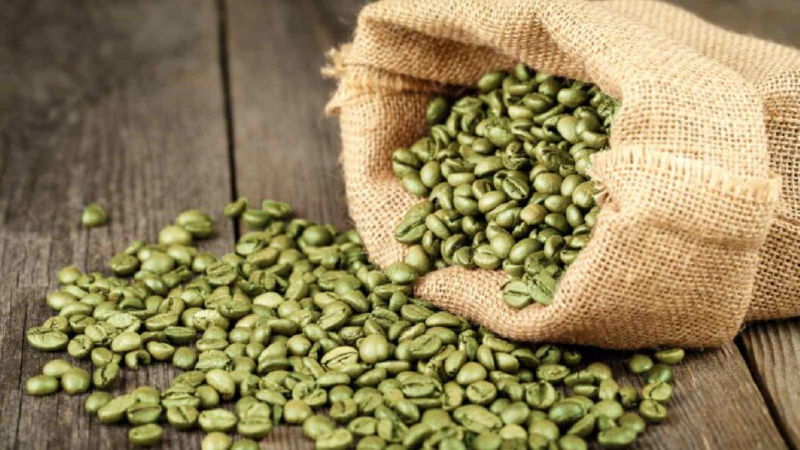 The Health Benefits of Green Coffee Beans and Optimal Brewing Techniques