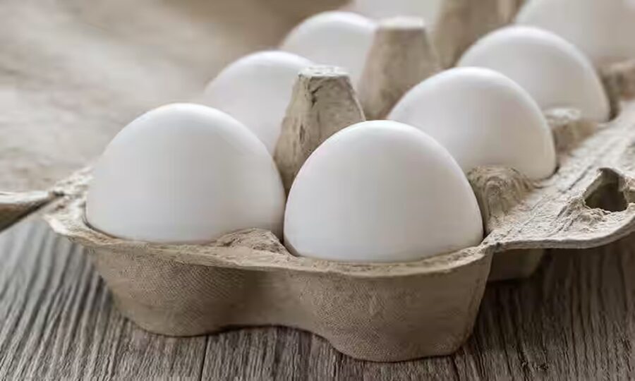 Buy Eggs in Bulk: Fresh, Affordable Supply for Businesses