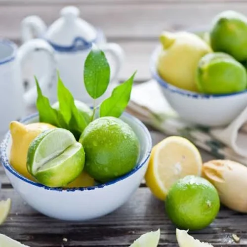 Citric Acid Monohydrate in Beverages: What Food Manufacturers Need to Know